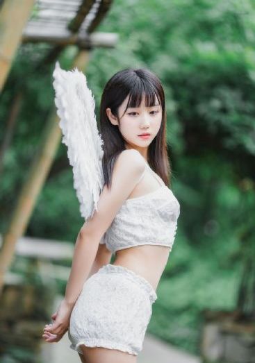 至高之牌